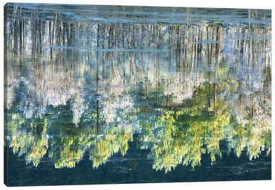 Color River Reflection Canvas Art Print - Norway Art