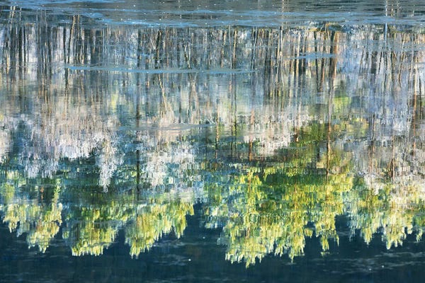 Norway: Color River Reflection by Daniel Gastager