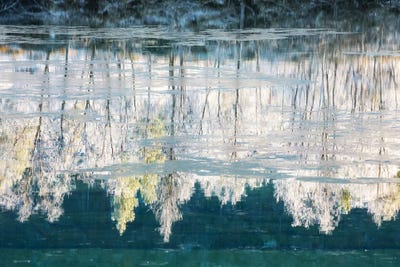 Frozen River Reflection by Daniel Gastager framed wall art