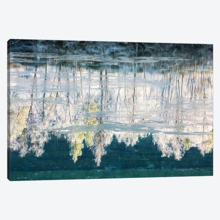 Frozen River Reflection Canvas Print #DGG98} by Daniel Gastager Canvas Wall Art