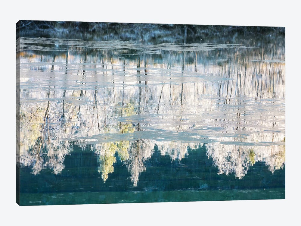 Frozen River Reflection by Daniel Gastager 1-piece Canvas Print