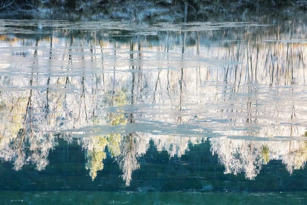 Norway: Frozen River Reflection by Daniel Gastager