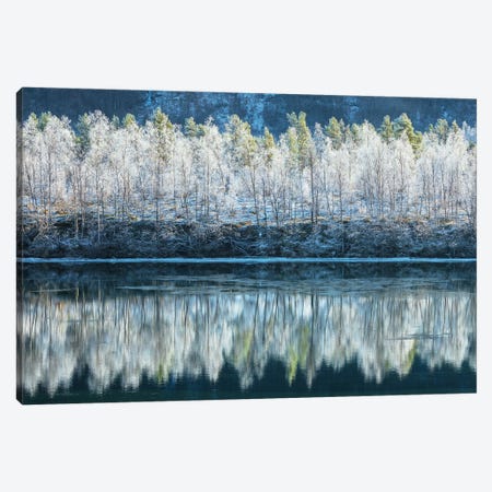Frozen Treeline In Northern Norway Canvas Print #DGG99} by Daniel Gastager Canvas Art