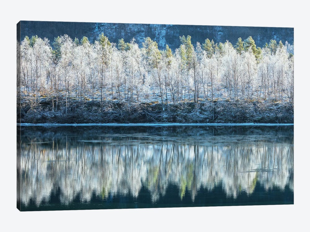 Frozen Treeline In Northern Norway by Daniel Gastager 1-piece Canvas Art