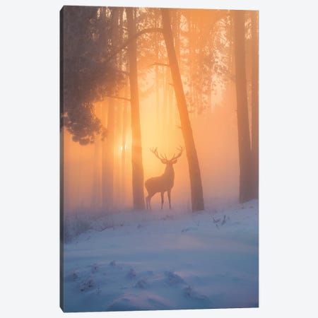 Nature Miracle Canvas Print #DGH34} by Diego Hernandez Canvas Artwork