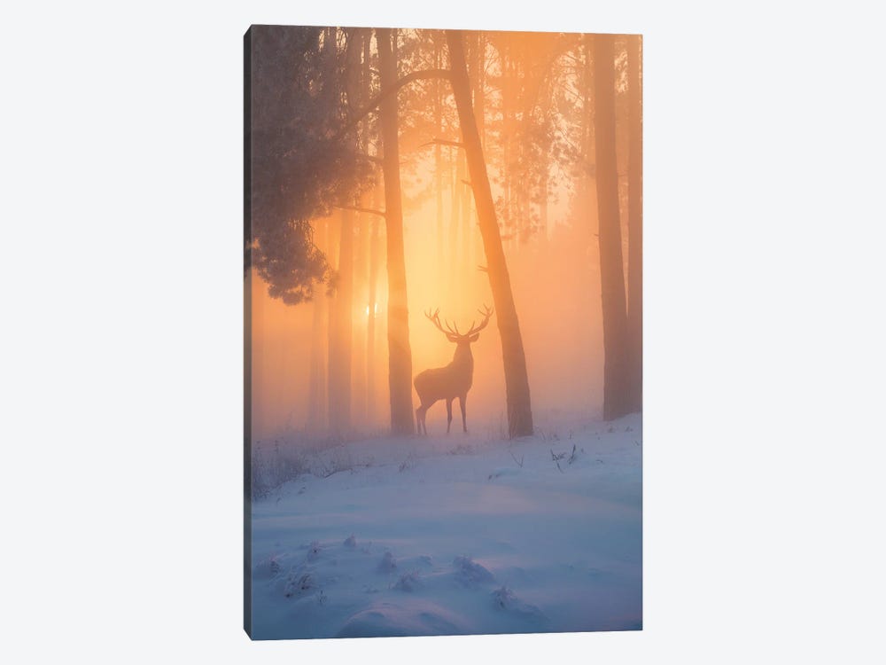 Nature Miracle by Diego Hernandez 1-piece Canvas Art Print
