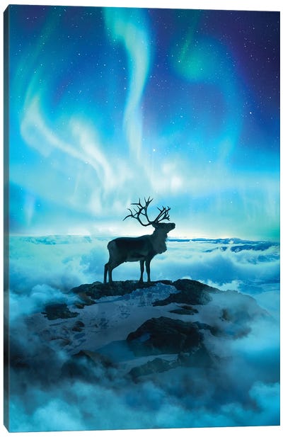 Reindeer Canvas Art Print - Diego Hernandez