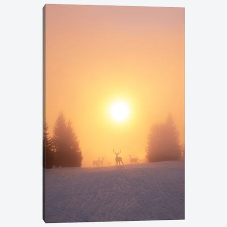 Sound In The Winter Canvas Print #DGH40} by Diego Hernandez Canvas Wall Art
