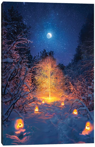Tree Light Canvas Art Print