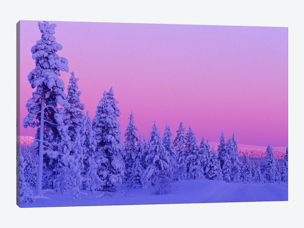 Magical Winter Sunset, Saariselka, Lapland, Finland by Daisy Gilardini 1-piece Canvas Wall Art
