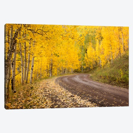 Autumn Landscape, Owl Creek Pass, Uncompahgre National Forest, Colorado, USA Canvas Print #DGR3} by Don Grall Canvas Art