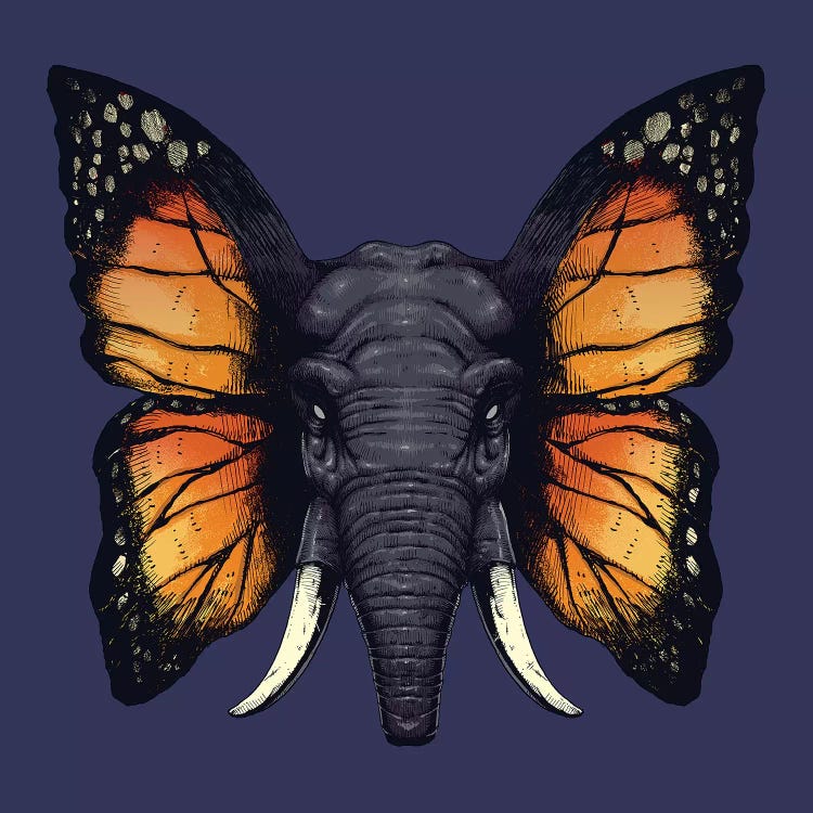 Elefly by Digital Carbine wall art