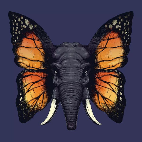 Monarch Butterflies: Elefly by Digital Carbine