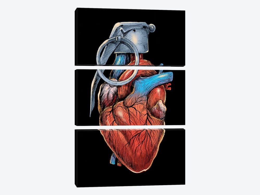 Heart Grenade by Digital Carbine 3-piece Canvas Art