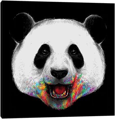 Where Is The Rainbow Canvas Art Print - Panda Art