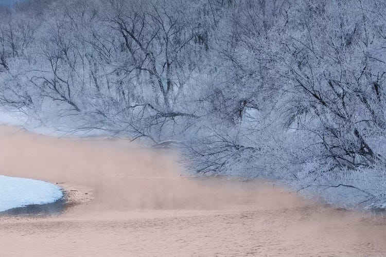 Frost on trees on rivers edge, Hokkaido, Japan