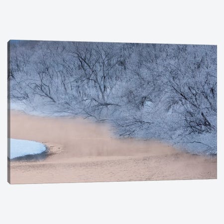 Frost on trees on rivers edge, Hokkaido, Japan Canvas Print #DGU117} by Darrell Gulin Canvas Art Print