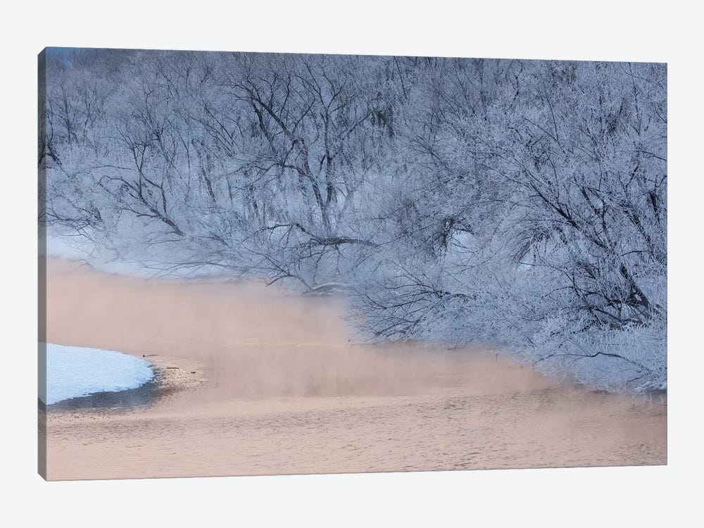 Frost on trees on rivers edge, Hokkaido, Japan by Darrell Gulin 1-piece Art Print
