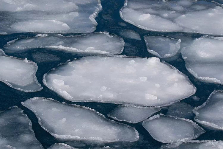 Pancake Ice along Shiretoko Peninsula. Winter in Northern Hokkaido, Japan