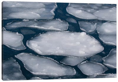 Pancake Ice along Shiretoko Peninsula. Winter in Northern Hokkaido, Japan Canvas Art Print - Darrell Gulin