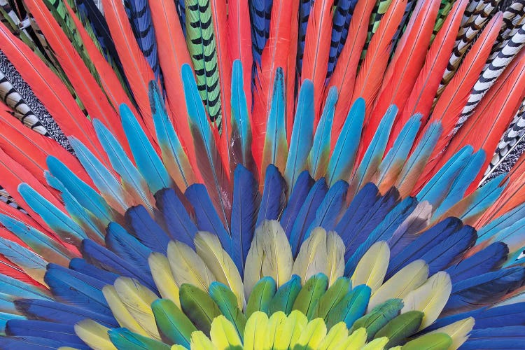 San Miguel De Allende, Mexico. Native feather headdress