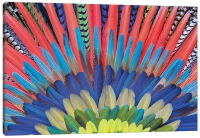 San Miguel De Allende, Mexico. Native feather headdress Canvas Art Print - Feather Art