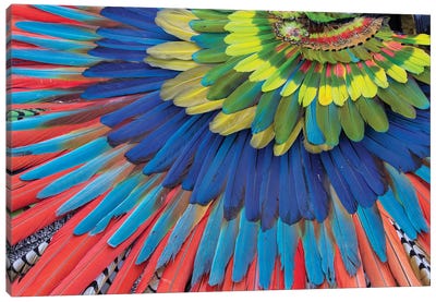 San Miguel De Allende, Mexico. Native feather headdress Canvas Art Print