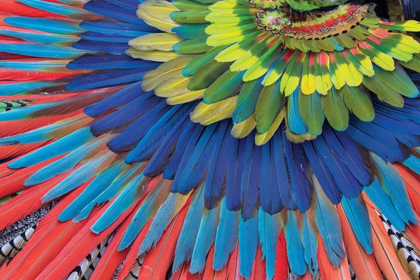 Feathers: San Miguel De Allende, Mexico. Native feather headdress by Darrell Gulin