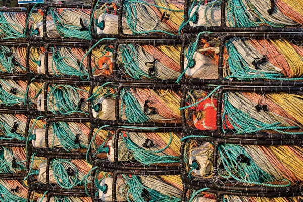 Crabs: Crab Traps Stored At Crescent City Marina, Northern California by Darrell Gulin