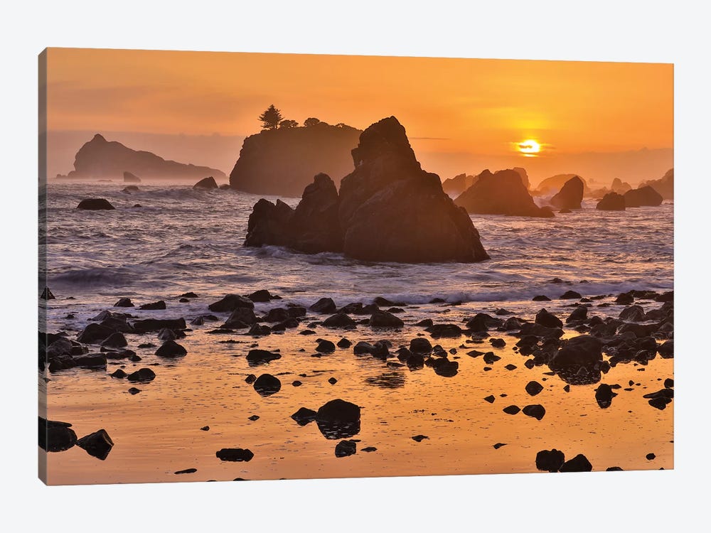 Sunset And Sea Stacks Along The Northern California Coastline, Crescent City by Darrell Gulin 1-piece Canvas Artwork