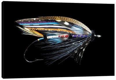 Atlantic Salmon Fly designs. 'Fleming' Canvas Art Print - Fishing Art