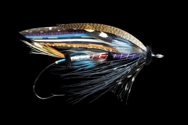 Danita Delimont Photography: Atlantic Salmon Fly designs. 'Fleming' by Darrell Gulin