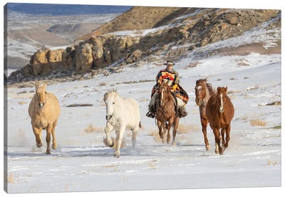 USA, Shell, Wyoming Hideout Ranch Cowboy Riding And Herding Horses In Snow Canvas Art Print - Darrell Gulin
