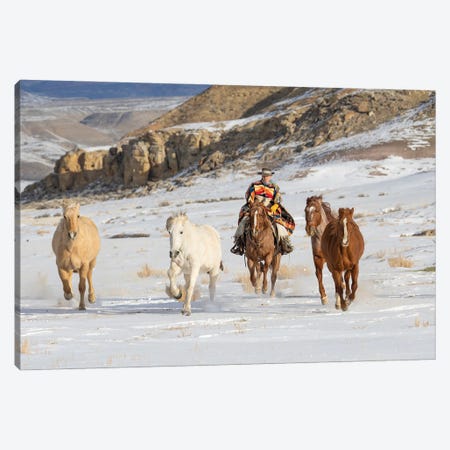 USA, Shell, Wyoming Hideout Ranch Cowboy Riding And Herding Horses In Snow Canvas Print #DGU175} by Darrell Gulin Art Print
