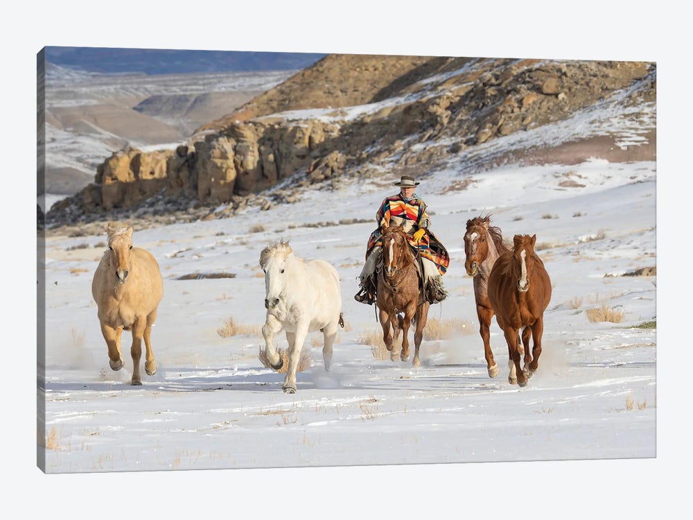 USA, Shell, Wyoming Hideout Ranch Cowboy Riding And Herding Horses In Snow by Darrell Gulin 1-piece Canvas Art Print