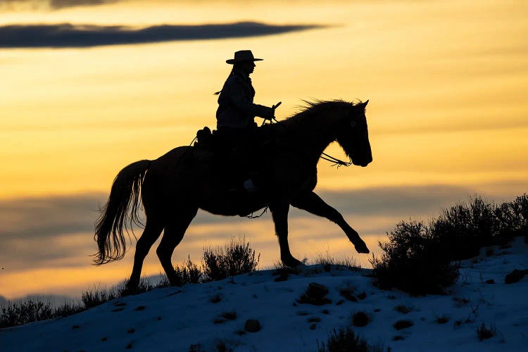 USA, Shell, Wyoming Hideout Ranch Cowgirl Silhouetted On Horseback At Sunset I