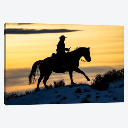 USA, Shell, Wyoming Hideout Ranch Cowgirl Silhouetted On Horseback At Sunset I Canvas Print #DGU178} by Darrell Gulin Canvas Wall Art