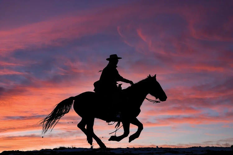 USA, Shell, Wyoming Hideout Ranch Cowgirl Silhouetted On Horseback At Sunset III