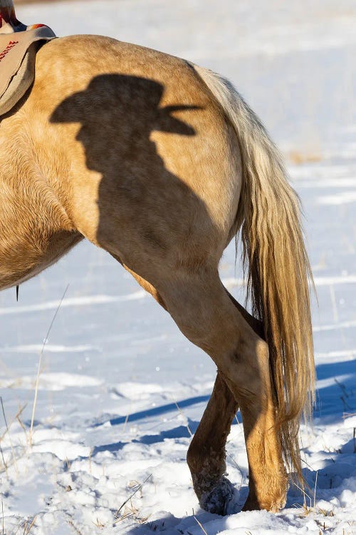 USA, Shell, Wyoming Hideout Ranch Shadow Of Cowhand With Hat On Side Of Horse