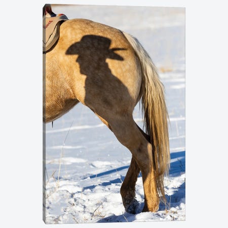 USA, Shell, Wyoming Hideout Ranch Shadow Of Cowhand With Hat On Side Of Horse Canvas Print #DGU183} by Darrell Gulin Art Print