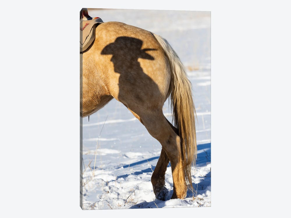 USA, Shell, Wyoming Hideout Ranch Shadow Of Cowhand With Hat On Side Of Horse by Darrell Gulin 1-piece Canvas Artwork