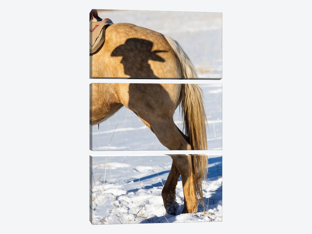 USA, Shell, Wyoming Hideout Ranch Shadow Of Cowhand With Hat On Side Of Horse by Darrell Gulin 3-piece Canvas Art