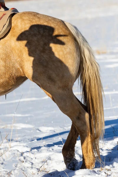 Wyoming: USA, Shell, Wyoming Hideout Ranch Shadow Of Cowhand With Hat On Side Of Horse by Darrell Gulin