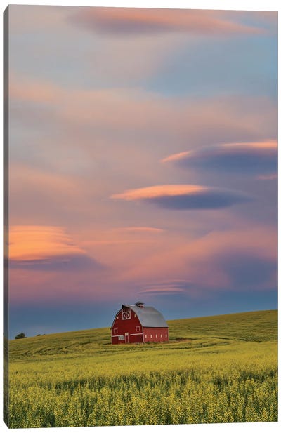 USA, Washington State, Palouse Springtime With Red Barn Surrounded By Yellow Canola Fields And Dramatic Skies Canvas Art Print - Darrell Gulin