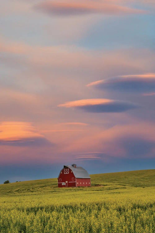 USA, Washington State, Palouse Springtime With Red Barn Surrounded By Yellow Canola Fields And Dramatic Skies