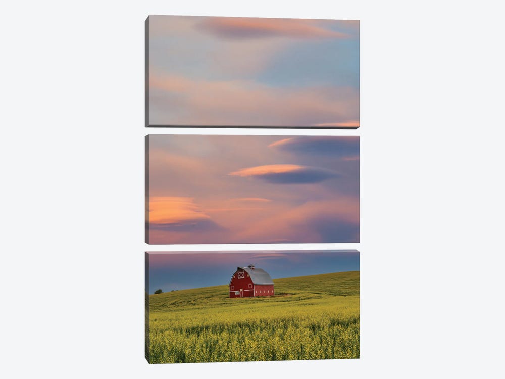 USA, Washington State, Palouse Springtime With Red Barn Surrounded By Yellow Canola Fields And Dramatic Skies by Darrell Gulin 3-piece Canvas Artwork