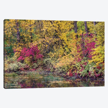 USA, Washington State, Small Pond Near Easton Surrounded By Fall Colored Trees Canvas Print #DGU196} by Darrell Gulin Canvas Art Print