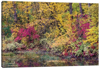 USA, Washington State, Small Pond Near Easton Surrounded By Fall Colored Trees Canvas Art Print - Darrell Gulin