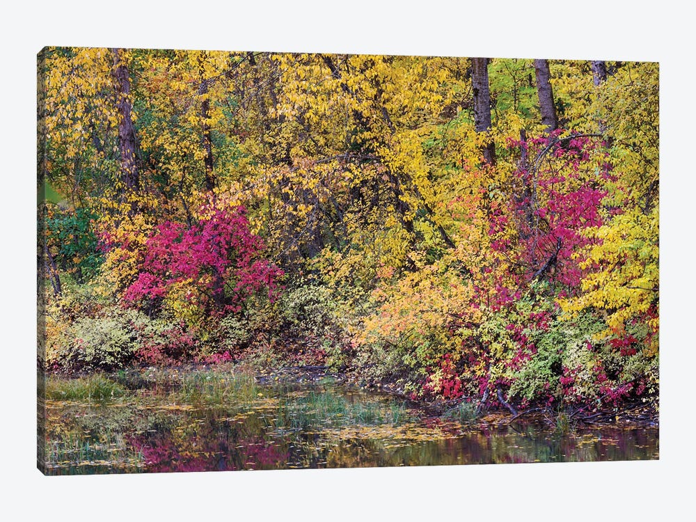 USA, Washington State, Small Pond Near Easton Surrounded By Fall Colored Trees by Darrell Gulin 1-piece Canvas Artwork