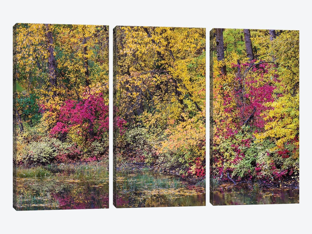 USA, Washington State, Small Pond Near Easton Surrounded By Fall Colored Trees by Darrell Gulin 3-piece Canvas Art